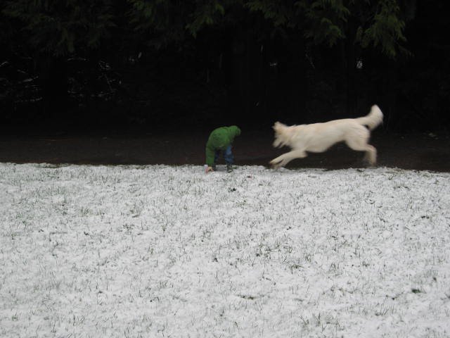 16298459_10210218295066157_1914397036832306125_n